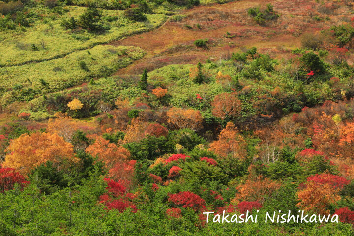 福島県福島市の磐梯吾妻スカイラインの浄土平と天狗の庭の紅葉 10月14日分2 2 風景写真家 西川貴之の気まぐれブログ 福島県福島市の磐梯吾妻スカイラインの浄土平と天狗の庭の紅葉 10月14日分2 2 風景写真家 西川貴之の気まぐれブログ