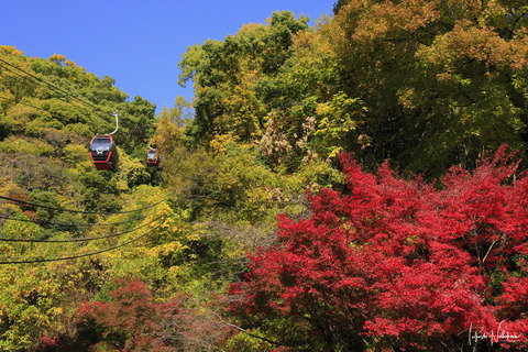 風景写真 2023年 7・8月号 大人の夏休み - 日本風景写真家協会