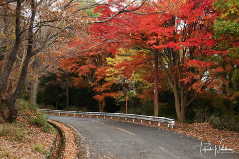 風景写真 2023年 7・8月号 大人の夏休み - 日本風景写真家協会