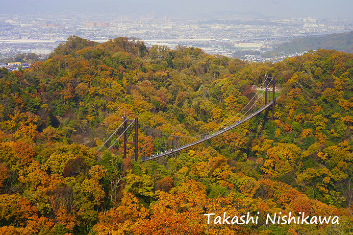 大阪府交野市のほしだ園地の星のブランコと紅葉 11月30日分2 1 風景写真家 西川貴之の気まぐれブログ 大阪府交野市のほしだ園地の星のブランコと紅葉 11月30日分2 1 風景写真家 西川貴之の気まぐれブログ