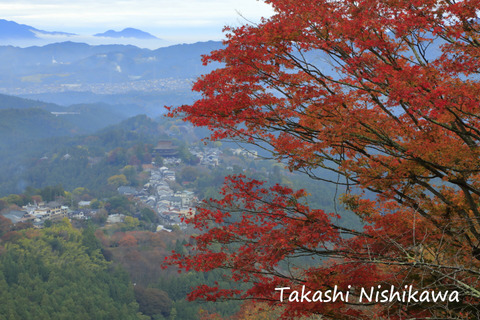 吉野山 風景写真家 西川貴之の気まぐれブログ