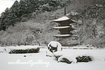 京都府舞鶴市の金剛院の雪景色 1月25日分2-1。 : 風景写真家