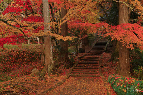 風景写真 2023年 7・8月号 大人の夏休み - 日本風景写真家協会