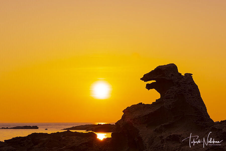 秋田県男鹿市の潮瀬崎のゴジラ岩と鵜ノ崎海岸の夕景 7月24日分5 5 風景写真家 西川貴之の気まぐれブログ