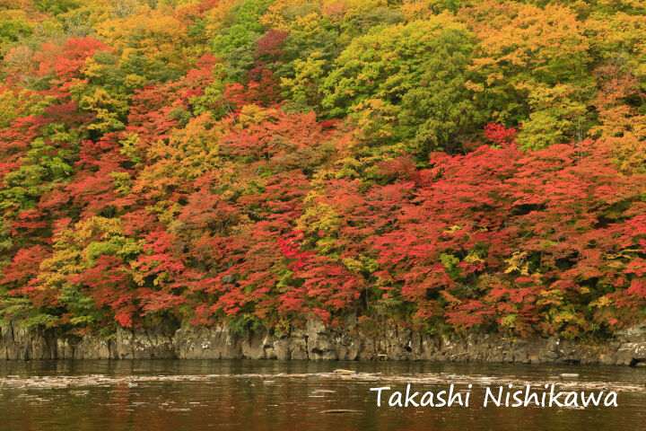 秋田県北秋田市の太平湖と小又峡の紅葉に三階滝 10月22日分2 2 風景写真家 西川貴之の気まぐれブログ 秋田県北秋田市の太平湖と小又峡の紅葉に三階滝 10月22日分2 2 風景写真家 西川貴之の気まぐれブログ