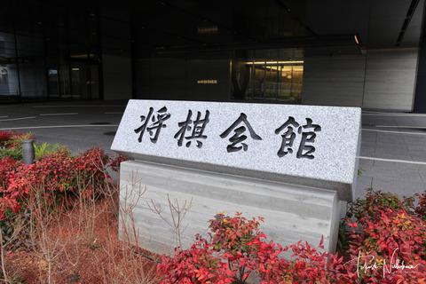 _U4A4677