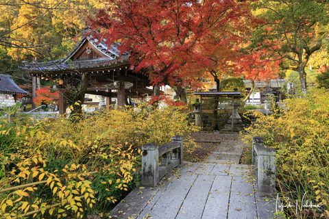 風景写真 2023年 7・8月号 大人の夏休み - 日本風景写真家協会