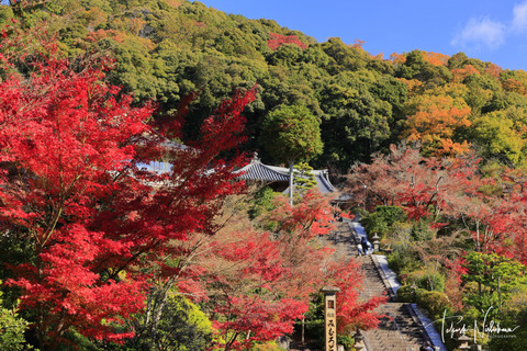 風景写真 2023年 7・8月号 大人の夏休み - 日本風景写真家協会