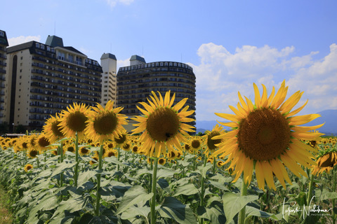 隔月刊「風景写真」7-8月号 - 日本風景写真家協会
