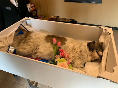 277007534_2333204600155507_3851622326879669173_n