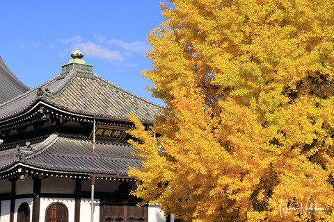 風景写真 2023年 7・8月号 大人の夏休み - 日本風景写真家協会