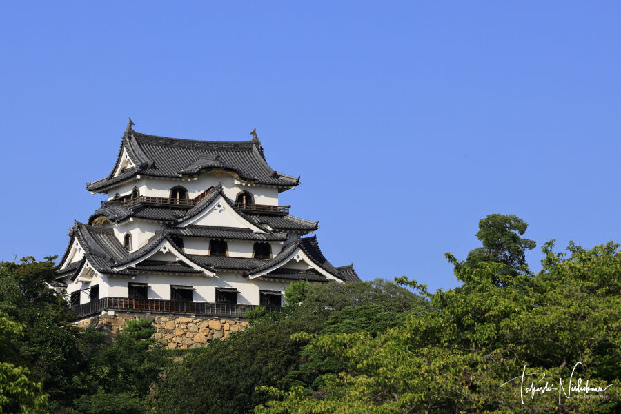 彦根城 滋賀県彦根市の彦根城 8月4日分7-6。 : 風景写真家・西川貴之の