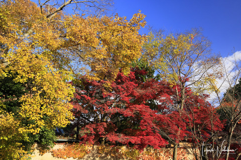 風景写真 2023年 7・8月号 大人の夏休み - 日本風景写真家協会