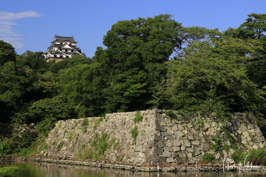 滋賀県彦根市の彦根城 8月4日分7-6。 : 風景写真家・西川貴之の