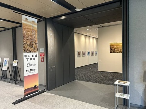 553595668_3554632601346028_3082034318602283262_n