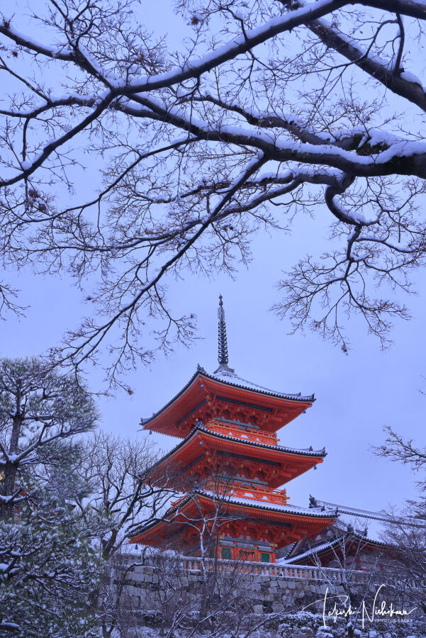京都府京都市の東山の清水寺の雪景色 1月14日分3 2 風景写真家 西川貴之の気まぐれブログ