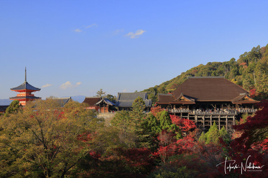 清水寺・清水山公園 | 沿線スポット | 静鉄グループ 静鉄電車