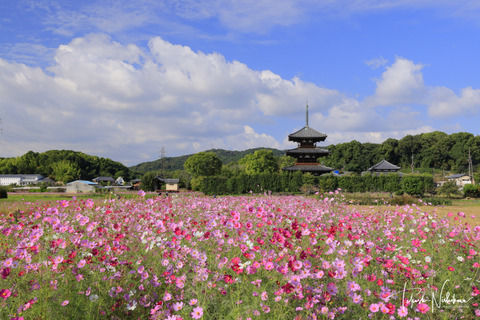 終了しました）第16回日本風景写真家協会展のお知らせ - 日本