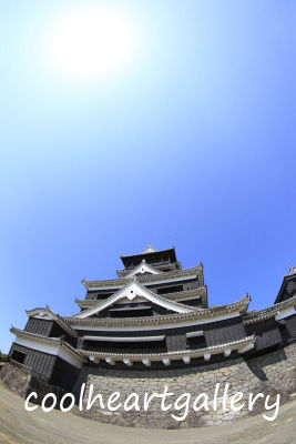 イメージ 12