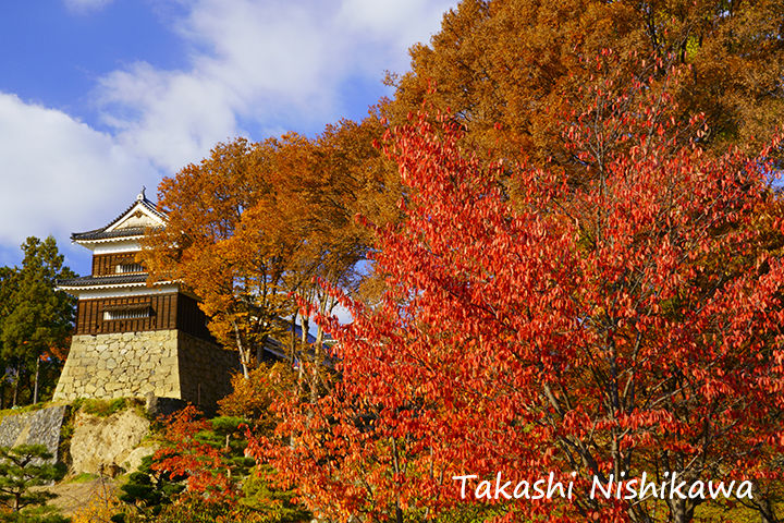 長野県上田市の上田城の紅葉 11月8日分3 2 風景写真家 西川貴之の気まぐれブログ