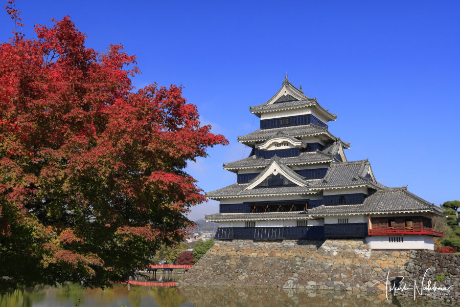 長野県 写真 丸虹 長野県・犀川、2022年の釣り納め。C＆R区間で良型のニジ