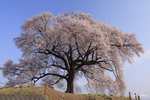 中西敏貴 Land of Fusion 地と記憶 販売 - 日本風景写真家協会 中西敏貴 Land of Fusion 地と記憶 販売 - 日本風景写真家協会
