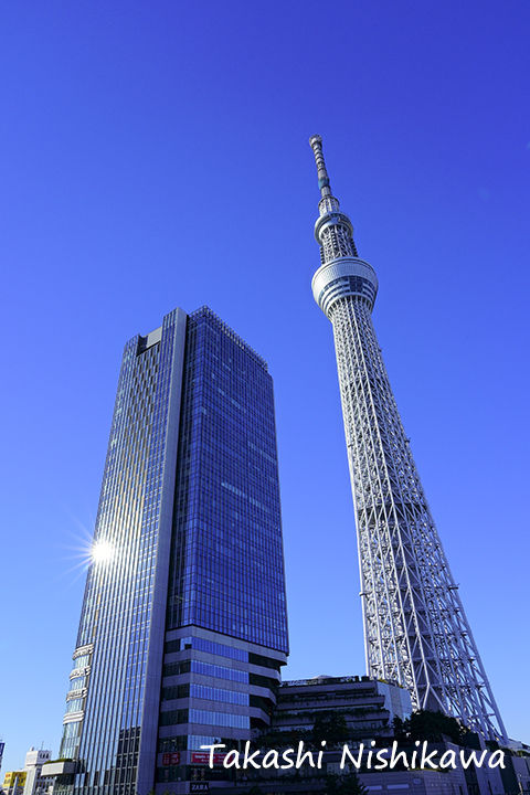 東京都の東京スカイツリーと浅草寺と増上寺の紅葉と東京タワー 12月14日分2 1 風景写真家 西川貴之の気まぐれブログ 東京都の東京スカイツリーと浅草寺と増上寺の紅葉と東京タワー 12月14日分2 1 風景写真家 西川貴之の気まぐれブログ