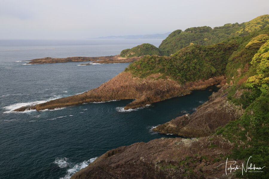 風景画　岬 宮崎県日向市の日向岬の馬の背とクルスの海に紫陽花 6月9日分4-1