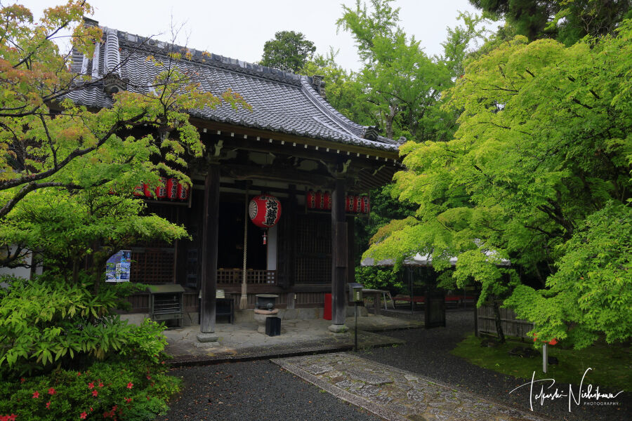 京都府京都市の詩仙堂・圓光寺・曼殊院・赤山禅院 5月27日分