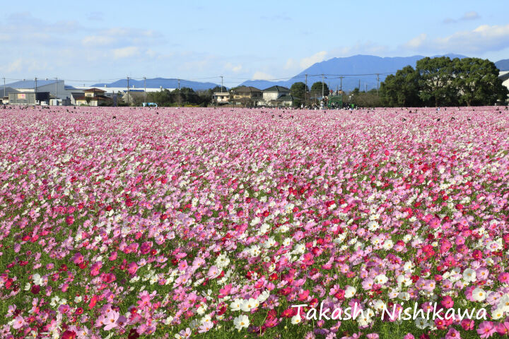 19 秋取材記1 風景写真家 西川貴之の気まぐれブログ 19 秋取材記1 風景写真家 西川貴之の気まぐれブログ