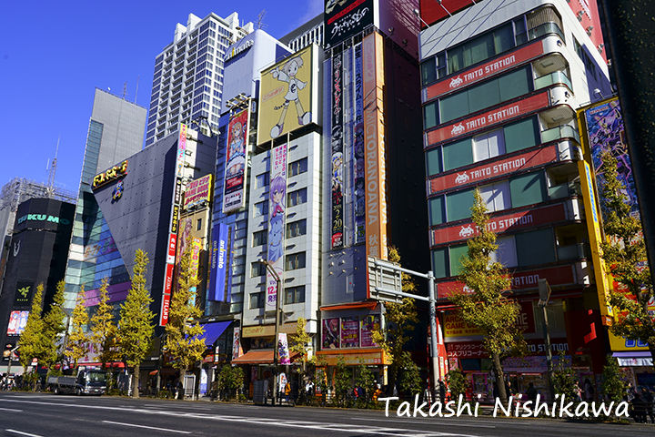 東京都の秋葉原と東京スカイツリーとシビックセンターからの展望と歌舞伎町と六本木ヒルズのクリスマスイルミネーションと銀座の夜景 12月17日分 風景写真家 西川貴之の気まぐれブログ 東京都の秋葉原と東京スカイツリーとシビックセンターからの展望と歌舞伎町と六本木ヒルズのクリスマスイルミネーションと銀座の夜景 12月17日分 風景写真家 西川貴之の気まぐれブログ