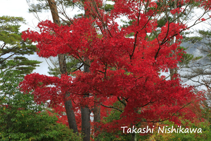 高城山 風景写真家 西川貴之の気まぐれブログ