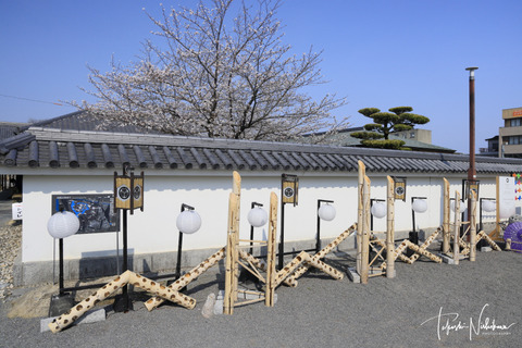 _S9A2561