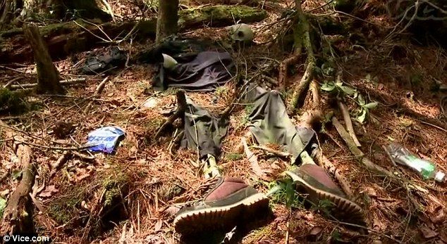 イギリス反応 自殺の名所 富士山の青木ヶ原樹海 海外反応 クールジャパン イギリス反応 自殺の名所 富士山の青木ヶ原樹海 海外反応 クールジャパン