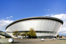 bigwhale