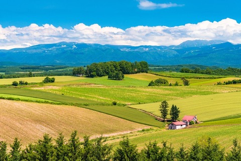 北海道　風景