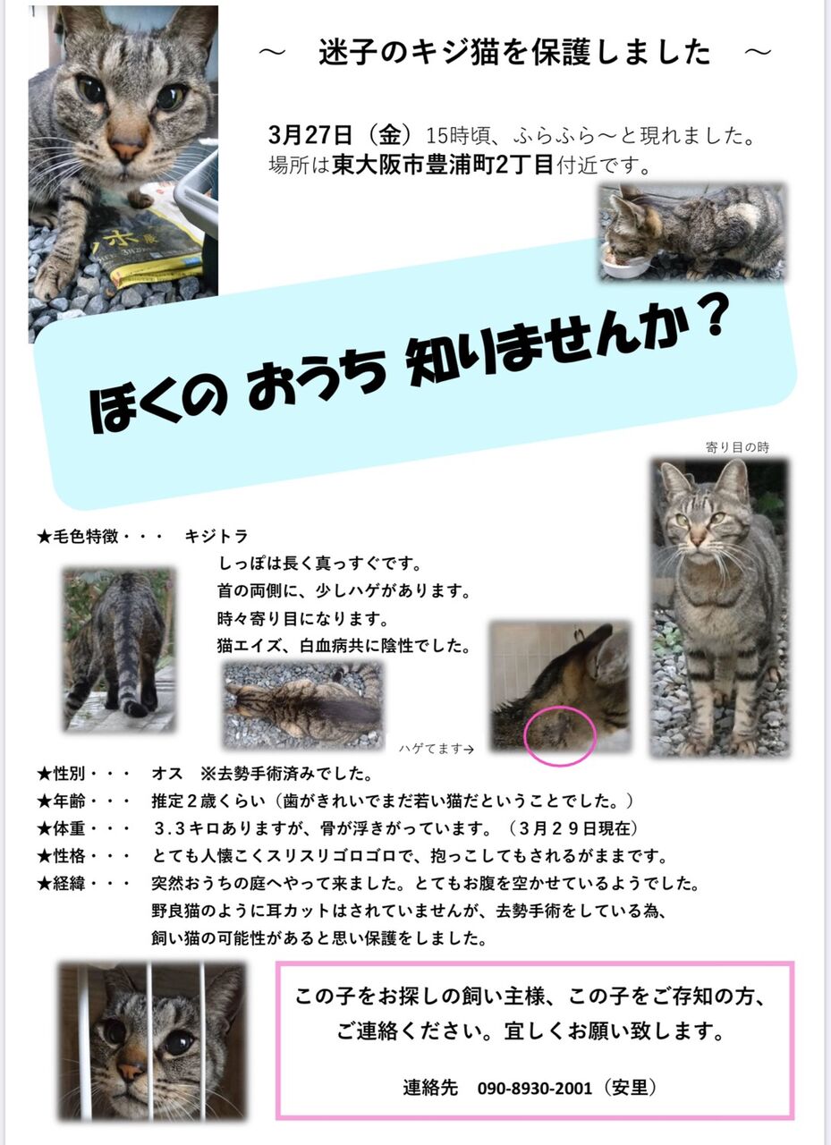 拡散希望です！！ : くーまと猫との日々