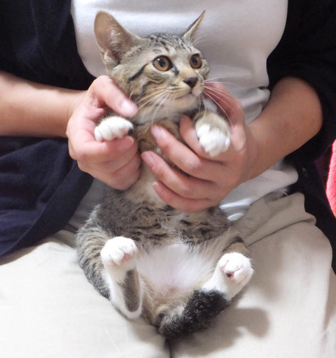 ichitaro_190812_4