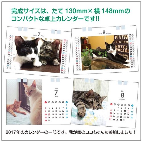 カレンダー募集用2019_黒猫_3