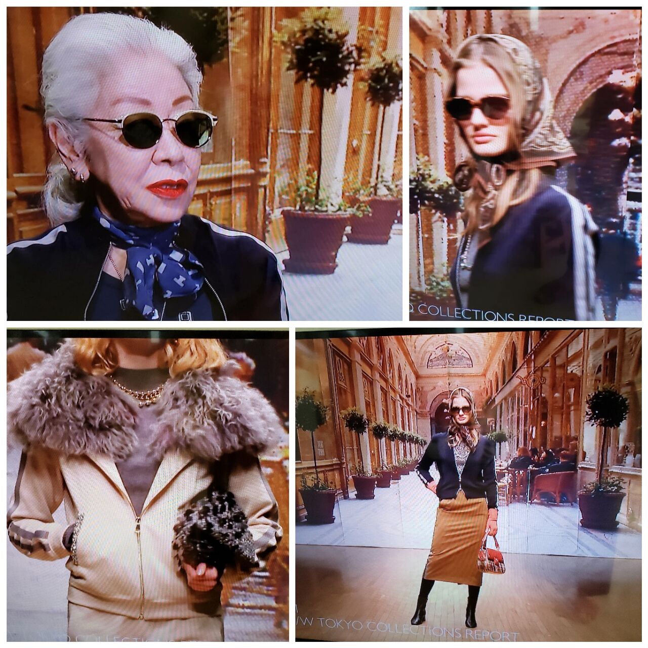 大御所の貫禄 Mrs Coomieのヨコハマ日記