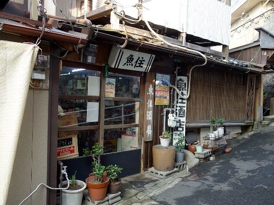 イメージ 13