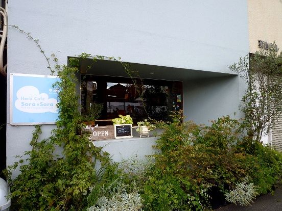 イメージ 1