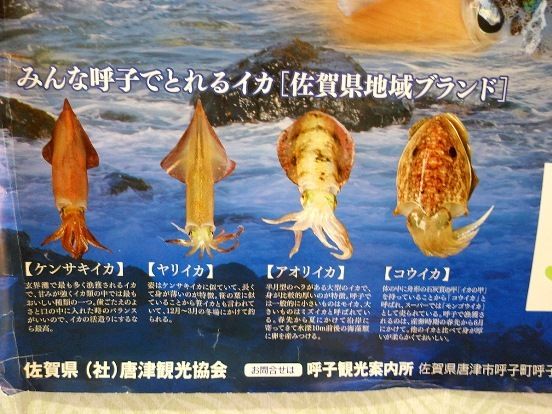 イメージ 4