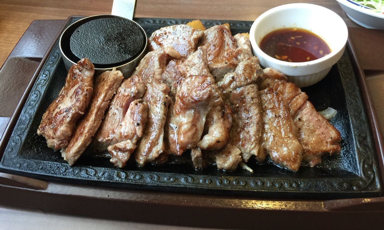 ステーキガストでがっつり糖質制限ダイエット 素人投資家がマネーマウンテンの頂を目指す挫折と栄光の記録 ステーキガストでがっつり糖質制限ダイエット 素人投資家がマネーマウンテンの頂を目指す挫折と栄光の記録