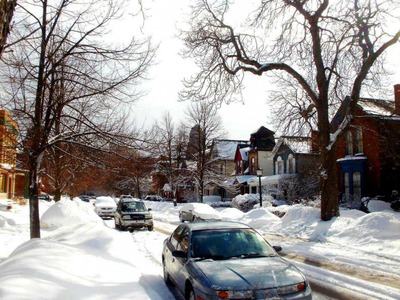 10_Buffalo