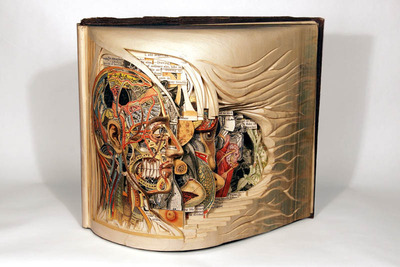 book-art-carving-sculpture-brian-dettmer-10