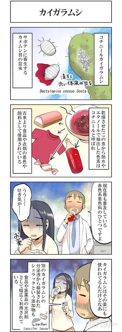 iki_103_02_cs1e1_480x1300