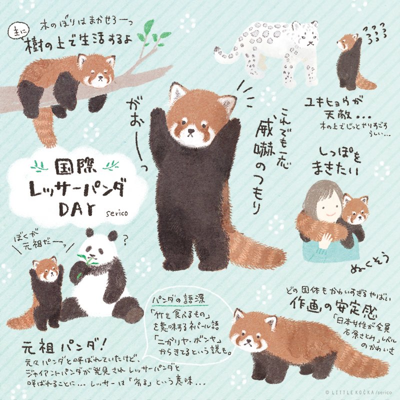 レッサーパンダって可愛いよね 2chコピペ保存道場