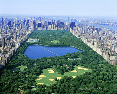 Central-Park-in-New-York