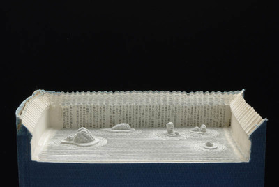 landscapes-carved-into-books-guy-laramee-15